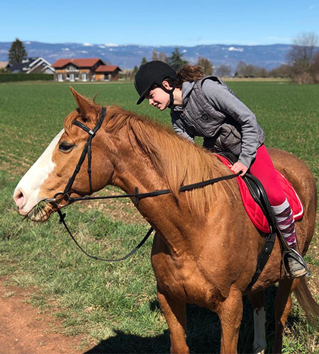 Transport chevaux – Juillet 2020