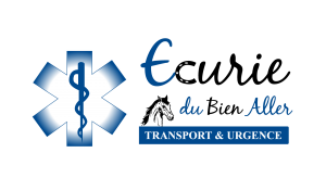 logo-ecurie-bien-aller 3